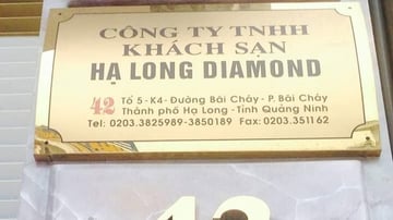 Tour Miền Bắc 5N4Đ: HCM - Hà Nội - Sapa - Ninh Bình - Hạ Long, VMB khứ hồi + KS 3* - Khởi Hành Hàng Tuần - Image - 6127