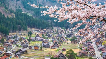 HÀ NỘI – GIFU – NAGOYA – KOBE – KYOTO – OSAKA 5N4Đ BAY VN - Image - 7221