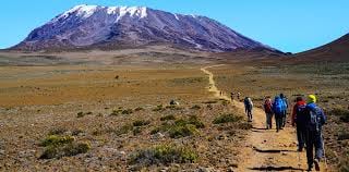 Kilimanjaro Machame  route 6 Days - Image - 3337