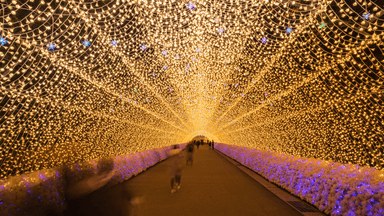 CUNG ĐƯỜNG VÀNG NHẬT BẢN: CÔNG VIÊN ÁNH SÁNG & TRƯỢT TUYẾT TOKYO – PHÚ SĨ – NAGOYA – KYOTO – OSAKA - Image - 2737