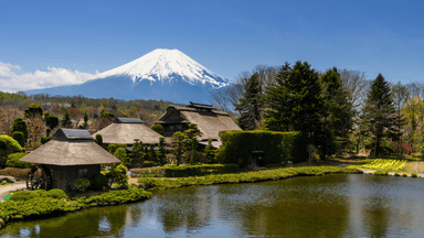 CUNG ĐƯỜNG VÀNG NHẬT BẢN: CÔNG VIÊN ÁNH SÁNG & TRƯỢT TUYẾT TOKYO – PHÚ SĨ – NAGOYA – KYOTO – OSAKA - Image - 2739
