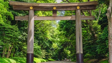 NHẬT BẢN 5N5Đ: TP HỒ CHÍ MINH - OSAKA - KYOTO - PHÚ SĨ - TOKYO - Image - 12237