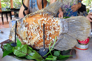 Mekong Delta, My Tho & Ben Tre Day Trips From Ho Chi Minh - Image - 189