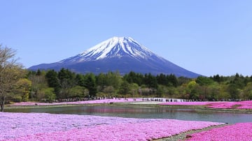 CUNG ĐƯỜNG VÀNG – SẮC HÈ RỰC RỠ 5N5Đ OSAKA – KYOTO – FUJI – TOKYO – NARITA - Image - 10692