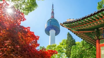 HÀN QUỐC MÙA HÈ: SEOUL – DMZ – GAMAKSAN – LÀNG CỔ EUNPYEONG - Image - 9185