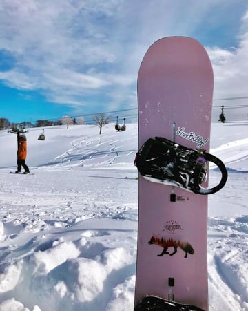 HOKKAIDO MÙA ĐÔNG 2026: Thiên đường tuyết trắng (hàng không 5 sao All Nippon Airways) - Image - 2501