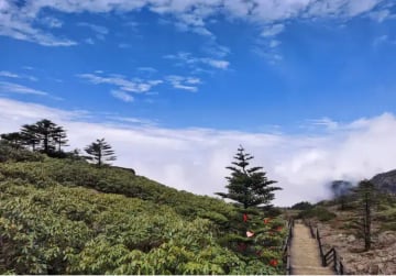 [TOUR NO SHOPPING] HÀ NỘI – CÔN MINH – NÚI TUYẾT KIỆU TỬ 4 NGÀY 4 ĐÊM - Image - 3083