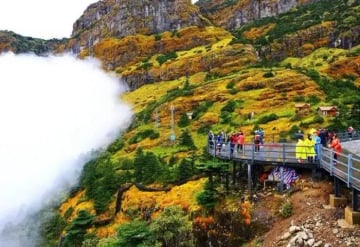 [TOUR NO SHOPPING] HÀ NỘI – CÔN MINH – NÚI TUYẾT KIỆU TỬ 4 NGÀY 4 ĐÊM - Image - 3074