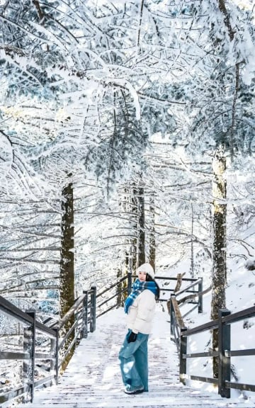 [TOUR NO SHOPPING] HÀ NỘI – CÔN MINH – NÚI TUYẾT KIỆU TỬ 4 NGÀY 4 ĐÊM - Image - 3064