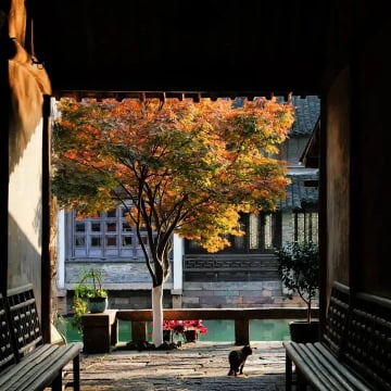 [TOUR NO SHOPPING] THƯỢNG HẢI - TÂY Ô TRẤN 4 NGÀY 4 ĐÊM - Image - 3315