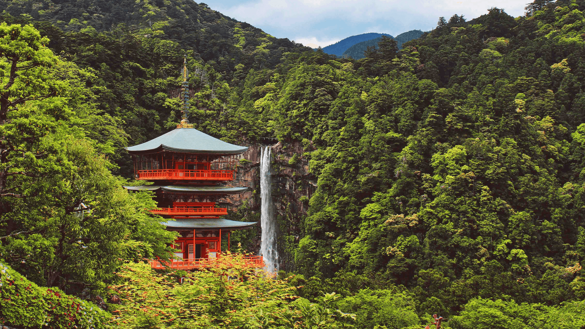 ĐÓN NĂM MỚI TẠI NHẬT BẢN 2026: OSAKA – WAKAYAMA – NARA - KYOTO - OSAKA - Image - 3178