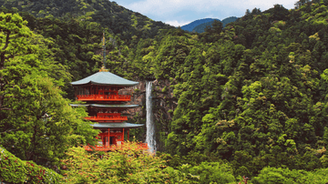 ĐÓN NĂM MỚI TẠI NHẬT BẢN 2026: OSAKA – WAKAYAMA – NARA - KYOTO - OSAKA - Image - 3178