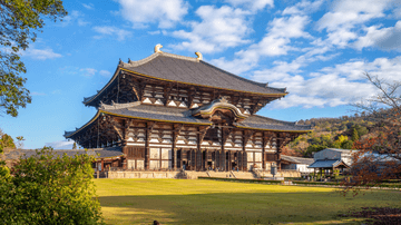 ĐÓN NĂM MỚI TẠI NHẬT BẢN 2026: OSAKA – WAKAYAMA – NARA - KYOTO - OSAKA - Image - 3179