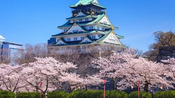 NHẬT BẢN 5N5Đ: TP HỒ CHÍ MINH - OSAKA - KYOTO - PHÚ SĨ - TOKYO - Image - 12239