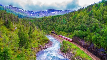 Norway Journey: Bergen – Myrdal – Flåm – Oslo (6 Days) - Image - 10570