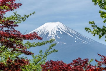 4D3N JAPAN - Image - 1051
