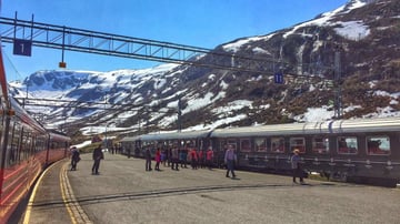 Norway Journey: Bergen – Myrdal – Flåm – Oslo (6 Days) - Image - 10567
