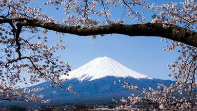 NHẬT BẢN 2026: TOKYO- NÚI PHÚ SĨ-NAGOYA-KYOTO- OSAKA - Bay Vietjet - Image - 3692