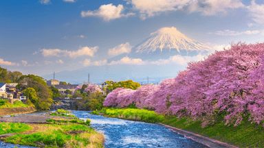 NHẬT BẢN 2026: TOKYO- NÚI PHÚ SĨ-NAGOYA-KYOTO- OSAKA - Bay Vietjet - Image - 3691