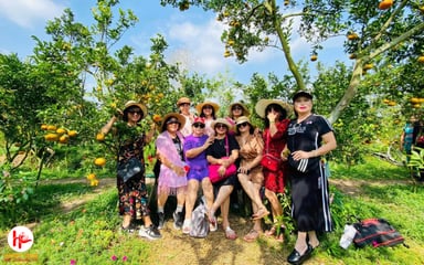 TOUR LÀNG HOA SA ĐÉC - QUÝT HỒNG LAI VUNG 1 NGÀY - Image - 4269