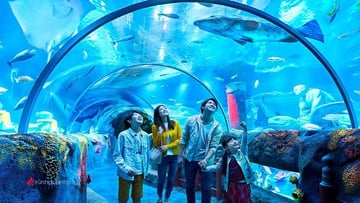 Tour du lịch liên tuyến 2 quốc gia 5N4Đ: Từ HCM - Singapore - Malaysia, VMB khứ hồi + KS 3* - Image - 5381