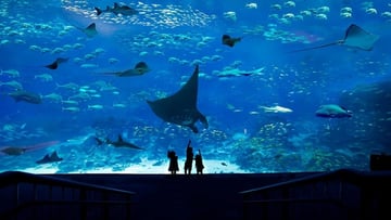 Tour du lịch liên tuyến 2 quốc gia 5N4Đ: Từ HCM - Singapore - Malaysia, VMB khứ hồi + KS 3* - Image - 5379