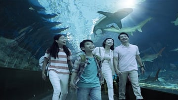 Tour du lịch liên tuyến 2 quốc gia 5N4Đ: Từ HCM - Singapore - Malaysia, VMB khứ hồi + KS 3* - Image - 5318