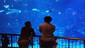 Tour du lịch liên tuyến 2 quốc gia 5N4Đ: Từ HCM - Singapore - Malaysia, VMB khứ hồi + KS 3* - Image - 5361