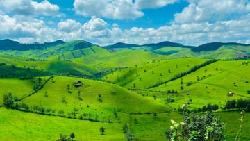 7 days Rwanda primates Safari adventure. - Image - 8557