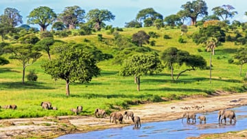 4 DAYS INTO THE WILD - SERENGETI AND NGORONGORO CRATER - Image - 7737