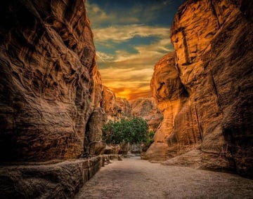 Private Petra Visit - From Amman city - Image - 1304