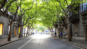 Tour Trung Quốc 5N4Đ: Từ HCM - Thượng Hải - Ô Trấn - Disneyland, Bay Juneyao Airlines + KS 4-5*, Hành trình KHÔNG SHOPPING - Image - 5801