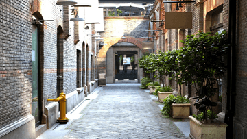 Tour Trung Quốc 5N4Đ: Từ HCM - Thượng Hải - Ô Trấn - Disneyland, Bay Juneyao Airlines + KS 4-5*, Hành trình KHÔNG SHOPPING - Image - 5760