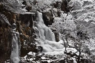 [TOUR NO SHOPPING] HÀ NỘI – CÔN MINH – NÚI TUYẾT KIỆU TỬ 4 NGÀY 4 ĐÊM - Image - 3086