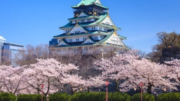 Tour Du Lịch Nhật Bản 6N5Đ : Tokyo - Núi Phú Sĩ - Nagoya - Kyoto - Osaka - Image - 9944