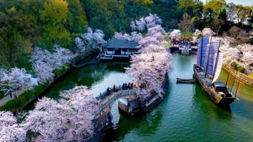 [NO SHOP] THƯỢNG HẢI - NAM KINH - TÔ CHÂU - Image - 9085