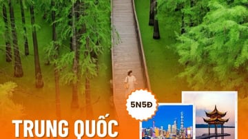 Tour du lịch Hàng Châu – Vô Tích – Ô Trấn – Thượng Hải 5N5Đ | 2026 - Image - 7283
