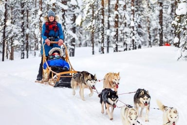 Tour du lịch Mông Cổ tết 2026 - Image - 2071
