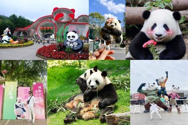 Tour Trung Quốc: Khai Phong - Lạc Dương - Hoa Sơn - Tây An - Image - 2119