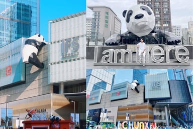 Tour Trung Quốc: Khai Phong - Lạc Dương - Hoa Sơn - Tây An - Image - 2126