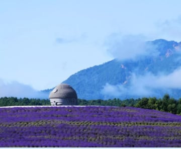 HOKKAIDO – CHITOSE – SAPPORO - NOBORIBETSU 6 DAYS 5 NIGHTS - Image - 258