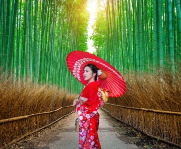 OSAKA – KOBE – KYOTO – FUJI – TOKYO – NARITA ⏰ 6 DAYS 5 NIGHTS - Image - 281