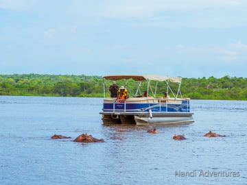 Ultimate 8-Day Uganda Safari: Gorillas, Chimps, Rhinos & Nile River Adventures - Image - 3671