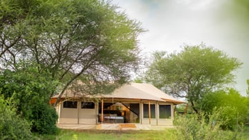 12 DAYS TANZANIA WILDLIFE TO ZANZIBAR BEACH ESCAPE - Image - 7623