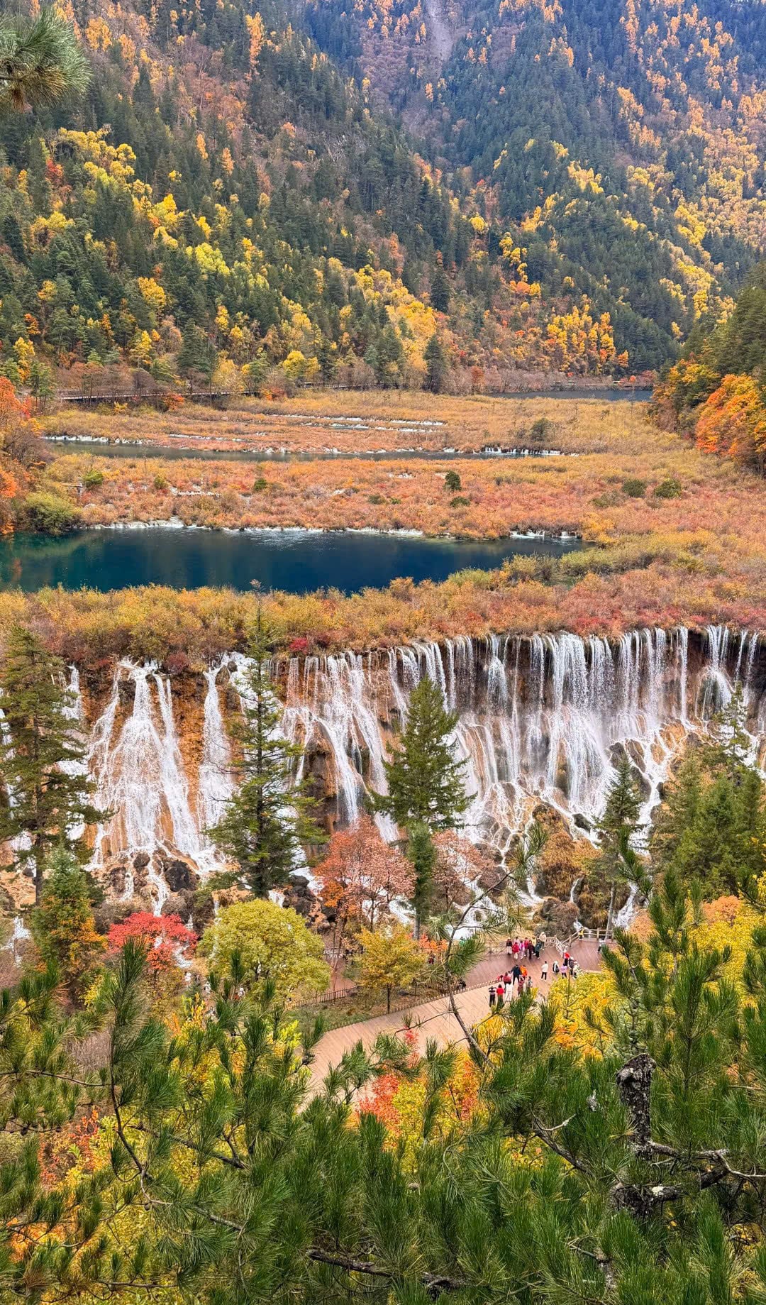 THÀNH ĐÔ – CỬU TRẠI CÂU – TRƯỢT TUYẾT GIA CÔ SƠN - Image - 2979