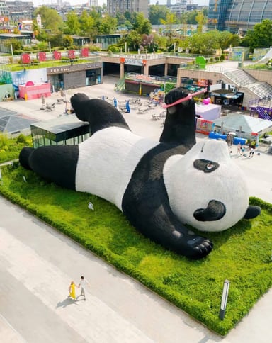 THÀNH ĐÔ – CỬU TRẠI CÂU – CÔNG VIÊN GẤU TRÚC – ĐÔ GIANG YỂN - Image - 2991