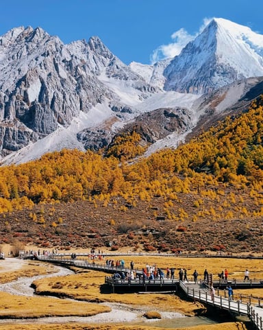 THÀNH ĐÔ - NÚI TỨ CÔ NƯƠNG - TÙNG BÌNH CÂU - ĐẠT CỔ BĂNG XUYÊN - Image - 3000