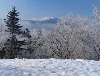 HÀ NỘI - CÁP NHĨ TÂN – LÀNG TUYẾT HƯƠNG – TRƯỢT TUYẾT YABULI – THẾ GIỚI BĂNG TUYẾT - Image - 3491