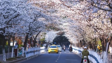 [4 ngày 3 đêm] Khám phá Quế Lâm - Dương Sóc (NOSHOPPING) - Image - 9761