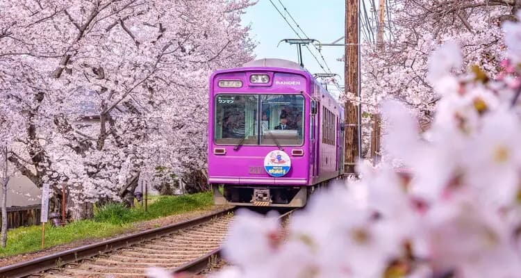 Japan Tours: Find Your Perfect Tokyo, Kyoto & Osaka Experience